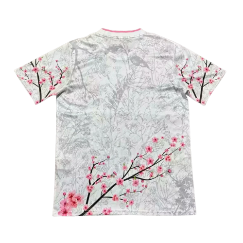 Japon Spécial