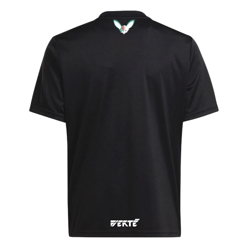 Algérie x Palestine Édition limitée Noir 23/24