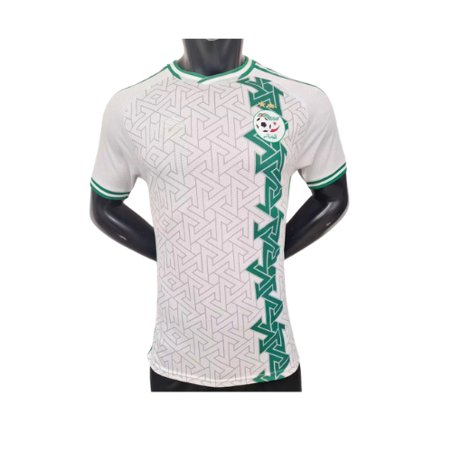 maillot Concept Vert version Player 2023 2024